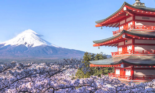 山梨県の情報